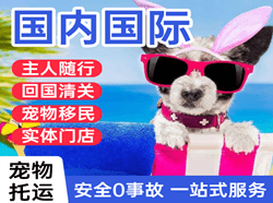 太原航空快运国际宠物托运 【国